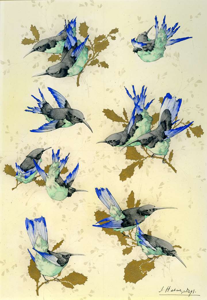 Illustration for Caprices Décoratifs: Oiseaux-mouches [Hummingbirds]